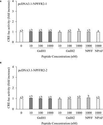 Differential activation of neuropeptide FF receptors by gonadotropin-inhibitory hormone peptides in the European sea bass